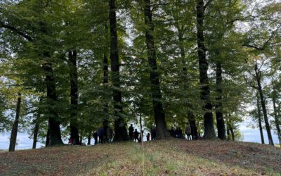 Campagne: De cirkel van Amerongen