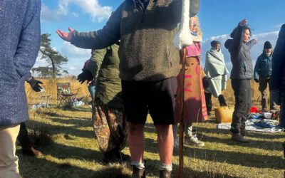 Krachtplaatsen: Kalmthoutse Heide