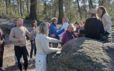 Krachtplaatsen: Dikke Steen te Lemelerberg
