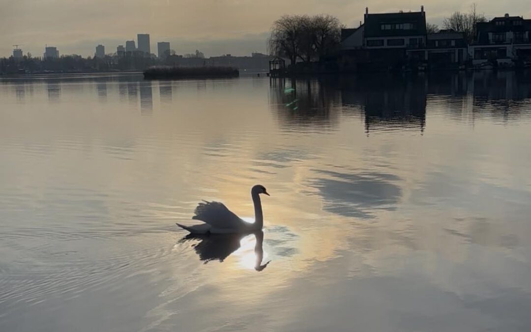 Krachtplaatsen: HillegondaKerk & de Rotte